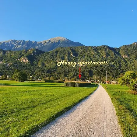 Honey Apartmán *
